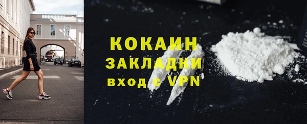тгк Алзамай