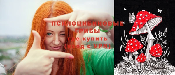 spice Алексеевка