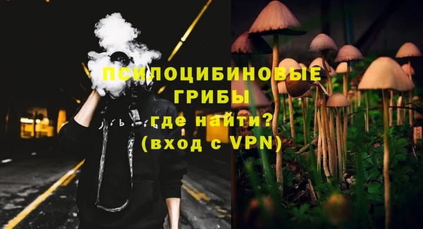 apvp Алексин